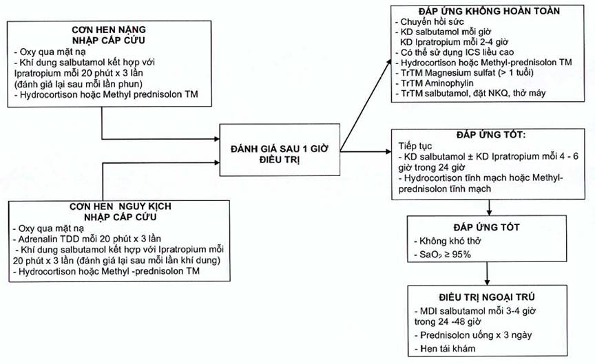 Tình trạng phổi và đường dẫn khí của người bị hen suyễn