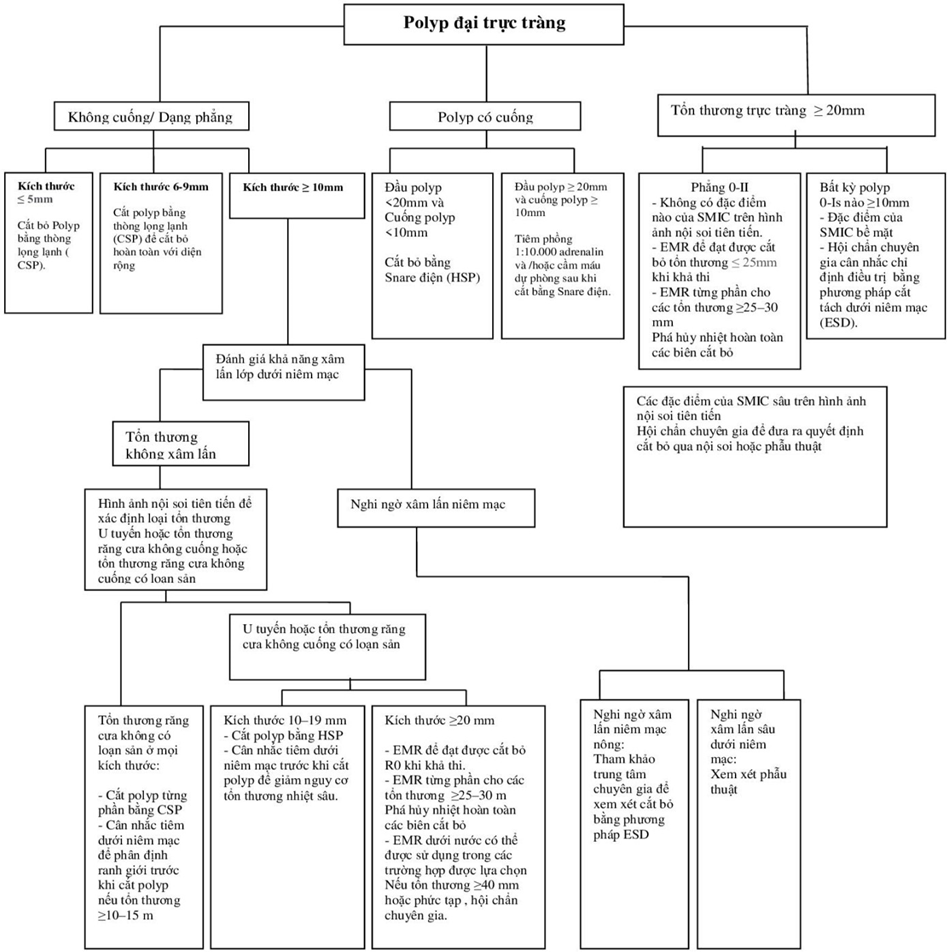    Tiếp cận cắt polyp đại trực tràng theo Hiệp hội nội soi tiêu hóa Châu Âu (ESGE) 2024